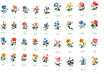 mallar för blommålning från tillverkningen av Meißen
